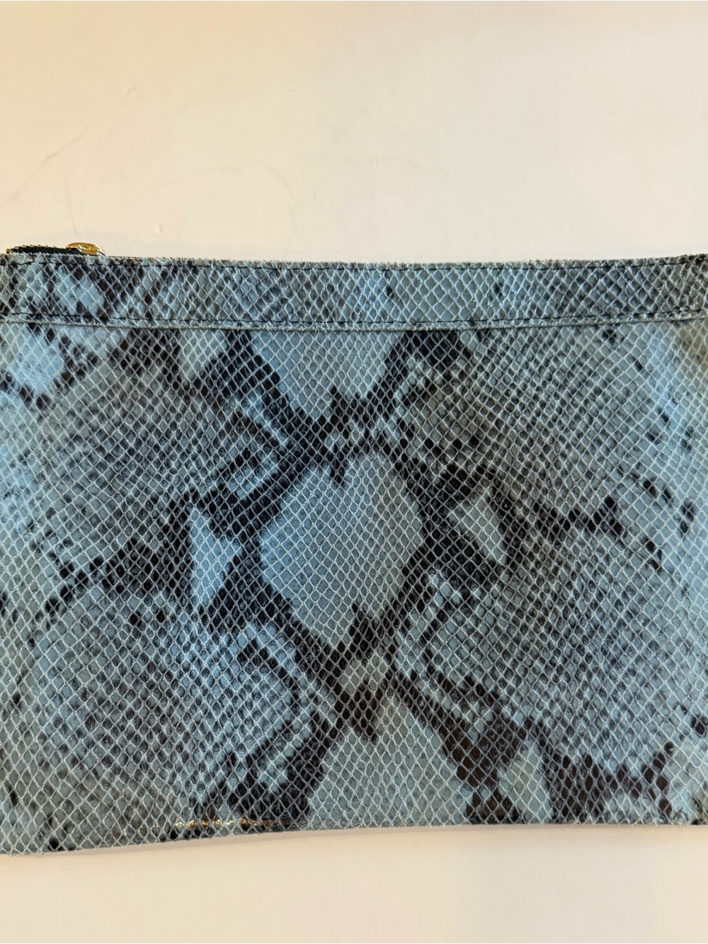 Blue Snake-Print Zip Pouch Clutch
